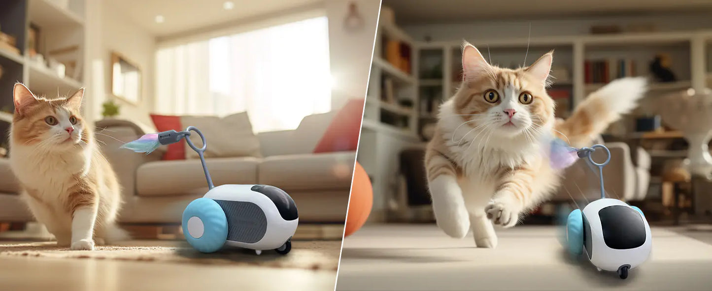 Smart Automatic Cat & Dog Toy Car